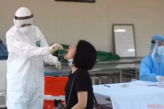 Qua rà soát thống kê, hiện Hà Nội có 74.905 trường hợp cần xét nghiệm RT-PCR trong chiến dịch này, gồm các đối tượng đã qua Đà Nẵng và có các biểu hiện ho sốt, khó thở; những trường hợp đi qua các điểm dịch của Đà Nẵng mà Bộ Y tế khuyến cáo; tất cả những người đi Đà Nẵng về từ ngày 15-7 đến 28-7; nhóm đối tượng F1 tiếp xúc trực tiếp với ca bệnh...