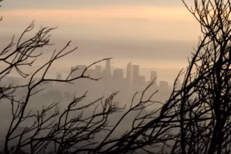 Trung tâm thành phố Los Angeles, Mỹ đằng sau khu rừng bị cháy. Ảnh: Reuters.