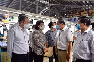 Đoàn công tác kiểm tra trực tiếp tại Công ty Cổ phần Thái Bình Kiên Giang.
