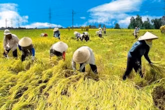 Đã đến lúc Bộ Nông nghiệp và Phát triển nông thôn phải bắt tay ngay vào chuyển đổi số trong lĩnh vực nông nghiệp. 