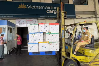 Vải thiều tập kết tại kho hàng ở sân bay Nội Bài. (Ảnh: Vietnam Airlines cung cấp)