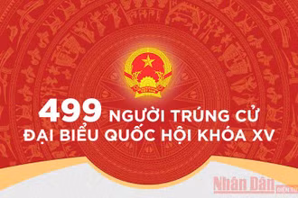 499 người trúng cử đại biểu Quốc hội khóa XV