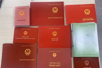 Số giấy tờ giả bị Cơ quan công an thu giữ.