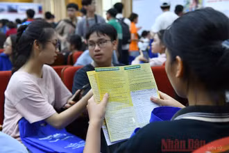 Học sinh tìm hiểu chương trình đào tạo trình độ đại học trong Ngày hội tuyển sinh. Ảnh: DUY LINH