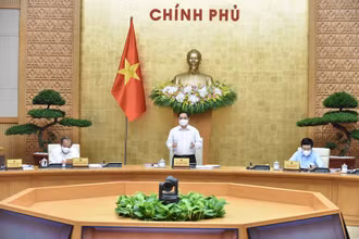 Chính phủ họp phiên thường kỳ tháng 5