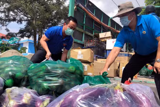 Tuổi trẻ Lâm Đồng phân loại, đóng gói nông sản để đưa lên những “chuyến xe yêu thương”.