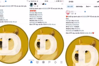 Một số nghệ sĩ đã tham gia quảng cáo tiền ảo đa cấp. Ảnh: Internet