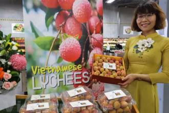 Hộp vải tươi Việt Nam được đấu giá thành công với giá trị lên tới gần 53 triệu VND. (Ảnh: Diệu Linh/TTXVN)