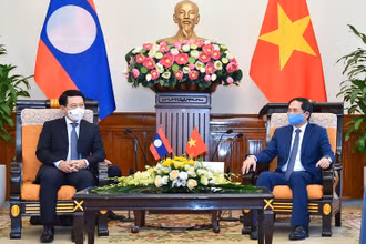 Buổi làm việc giữa Bộ trưởng Ngoại giao Bùi Thanh Sơn và Bộ trưởng Ngoại giao Lào Saleumxay Kommasith(Ảnh: Báo Thế giới và Việt Nam)