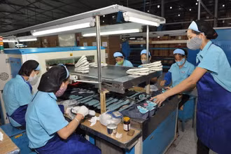 Sản xuất và xuất khẩu da giày có nhiều tín hiệu khả quan