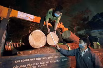 Tang vật vụ việc đang tạm giữ tại Hạt Kiểm lâm thành phố Đà Lạt.
