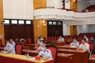 Thanh tra Chính phủ họp giao ban năm tháng đầu năm. (Ảnh: CTV)
