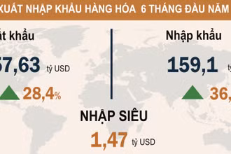 Thương mại hàng hoá nhập siêu 1,47 tỷ USD