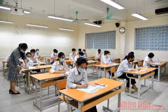 Ảnh: THỦY NGUYÊN