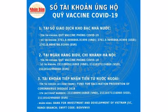 (Đồ hoạ: NDĐT)