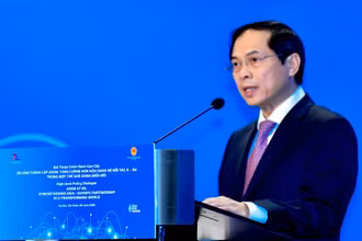Bộ trưởng Ngoại giao Bùi Thanh Sơn. (Ảnh: Báo Thế giới và Việt Nam)