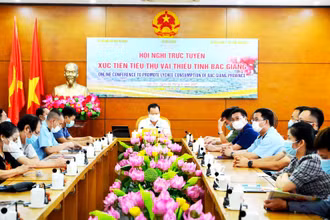 Lào Cai tạo thuận lợi nhất cho xuất khẩu vải thiều qua Cửa khẩu Kim Thành sang thị trường Vân Nam (Trung Quốc).