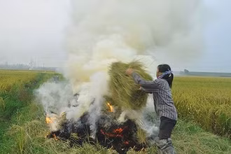 Đốt rơm rạ nhiều nơi ở miền bác gây ô nhiễm không khí.