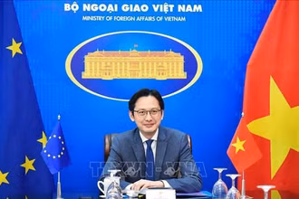 Trợ lý Bộ trưởng Ngoại giao Đỗ Hùng Việt đã đồng chủ trì Phiên họp lần thứ 2 Tiểu ban các vấn đề chính trị Việt Nam - EU. Ảnh: TTXVN