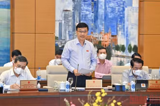 Chủ nhiệm Ủy ban Kinh tế Vũ Hồng Thanh, đại diện Đoàn giám sát trình bày báo cáo tại phiên họp. (Ảnh Duy Linh)