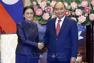 Chủ tịch nước Nguyễn Xuân Phúc tiếp Phó Chủ tịch nước CHDCND Lào Pany Yathotou. (Ảnh: TTXVN)