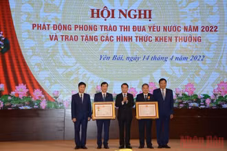 Các điển hình tiên tiến được khen thưởng tại hội nghị.