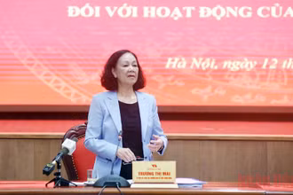Đồng chí Trương Thị Mai phát biểu kết luận buổi làm việc.