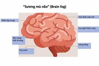 (Ảnh minh họa)