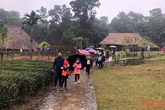 Du khách tham quan Làng Văn hóa Du lịch các dân tộc Việt Nam trong dịp đầu xuân.