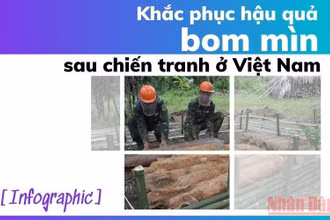 [Infographic] Khắc phục hậu quả bom mìn sau chiến tranh ở Việt Nam