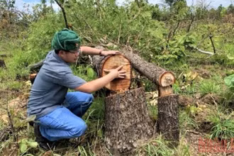 Phóng viên Báo Nhân Dân có mặt tại hiện trường vụ phá rừng tại Tiểu khu 205, xã Ya Tờ Một, huyện Ea Súp.