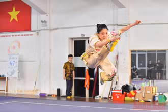 Wushu được chia thành hai nội dung là Wushu Sanshou (Võ thuật tán thủ), thiên về sức mạnh đòn đánh, tổ hợp đòn chiến và Wushu Taolu (Võ thuật biểu diễn), thiên về quyền pháp tay không hoặc có binh khí, chủ yếu tập trung về độ mềm dẻo của cơ thể.