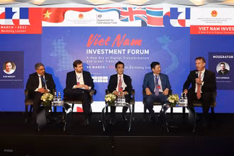 Đại diện lãnh đạo các doanh nghiệp hai nước Việt Nam và Vương quốc Anh thảo luận về kỹ thuật số và công nghệ tài chính giúp phát triển nền kinh tế “theo yêu cầu” của Việt Nam. (Ảnh: Đình Thư/TTXVN)