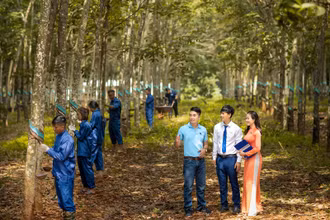 Cho vay chuỗi giá trị thúc đẩy phát triển kinh tế nông thôn bền vững