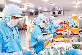 Người lao động tại Công ty Sài Gòn Food. (Ảnh minh họa: Quang Quý)