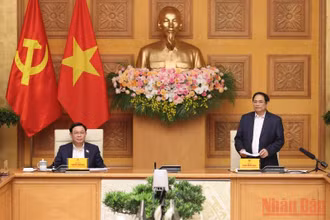 Ảnh: TRẦN HẢI