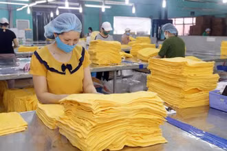 Sản xuất hàng xuất khẩu tại Công ty cổ phần dệt may Sơn Nam, Nam Định. (Ảnh: TTXVN)