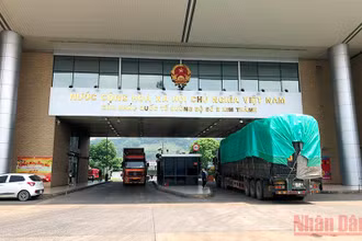 Mỗi ngày có từ 70-80 xe ô-tô trọng tải lớn chở hàng hóa thông quan qua Cửa khẩu Kim Thành (Lào Cai)-Bắc Sơn (Hà Khẩu-Trung Quốc).