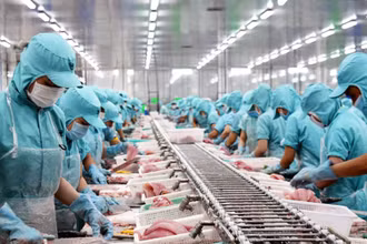 Thủy sản Việt Nam nhiều cơ hội thâm nhập sâu thị trường EU.