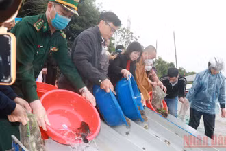 Sở Nông nghiệp và Phát triển nông thôn tỉnh Nam Định tổ chức thả một triệu con giống thủy sản xuống sông Hồng (đoạn qua địa bàn xã Mỹ Tân, huyện Mỹ Lộc) chiều 1/4.