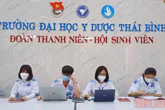 Các sinh viên năm cuối trường Đại học Y Dược Thái Bình trực tư vấn tại Tổng đài chăm sóc F0 tại nhà.
