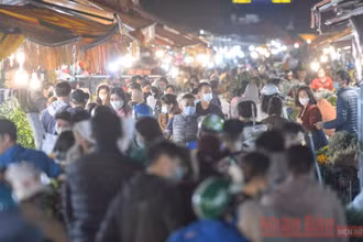 Chợ hoa nức tiếng Hà Thành nhộn nhịp trước ngày 8-3