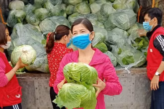 Hội Phụ nữ cơ sở ở Vũ Thư (Thái Bình) thu mua nông sản, bán hoặc phát miễn phí cho hội viên.