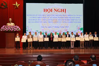 UBND tỉnh Sơn La tặng Bằng khen cho các tập thể, cá nhân tiêu biểu tại Hội nghị.