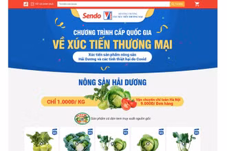 Nông sản Hải Dương được tiêu thụ trên sàn Sendo.