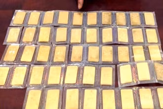 Tang vật của vụ án
