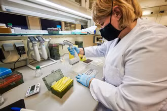 Toàn bộ quy trình giải trình tự gen virus SARS-CoV-2 của Iceland là một ngày rưỡi.