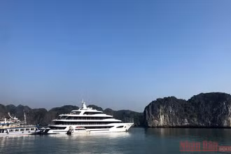 Đón khách lên du thuyền ở Cát Bà.