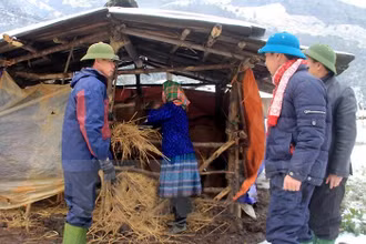 Tăng cường các biện pháp phòng, chống rét cho vật nuôi. (Ảnh minh họa)