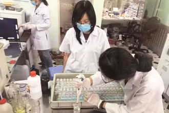 Nghiên cứu tìm ra chế phẩm giúp ngành nuôi tôm ở ĐBSCL phát triển bền vững, đây là một trong 62 nhiệm vụ đã chuyển giao thuộc Chương trình Tây Nam Bộ.